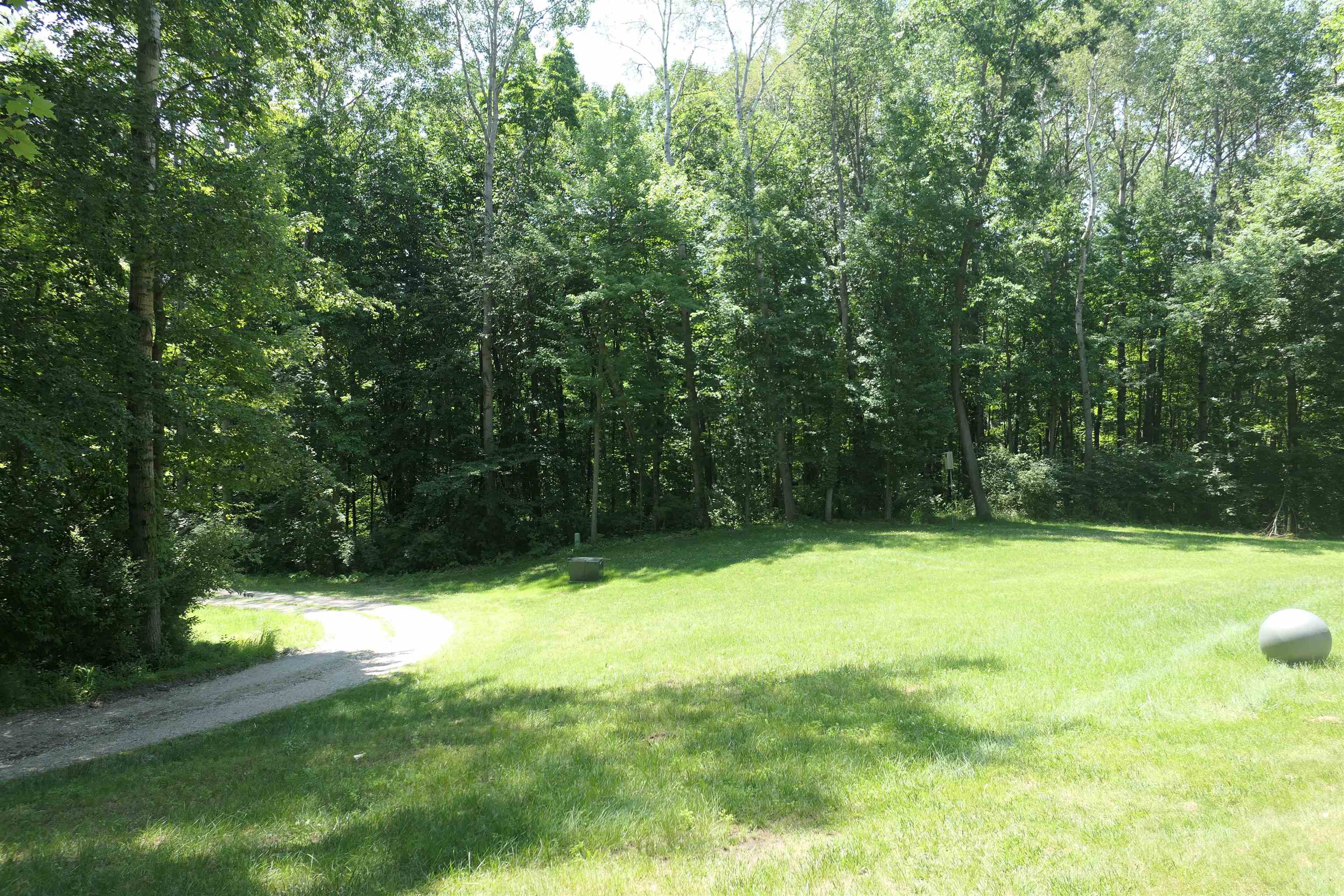 4769 Feather Trail Edmore, MI 48829 - Photo 47 of 53
