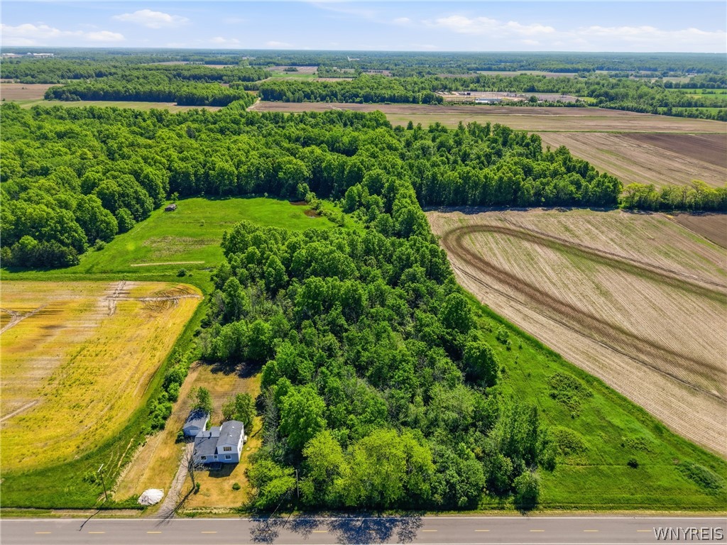 Dickersonville Road East Ransomville, NY 14131 - Photo 1 of 11 Gallery Image 1