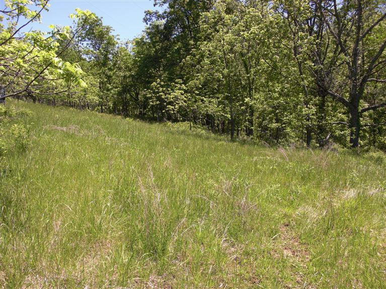 1 Northeast County Line Road Sadieville, KY 40370 - Photo 8 of 8 Photo 8
