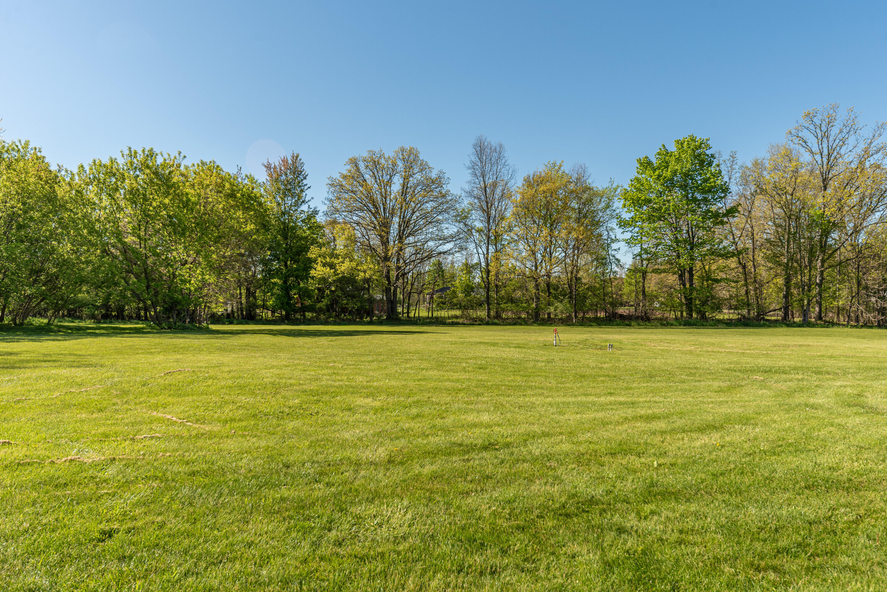 12199 North Meridian Road Pleasant Lake, MI 49272 - Photo 12 of 48 011_14