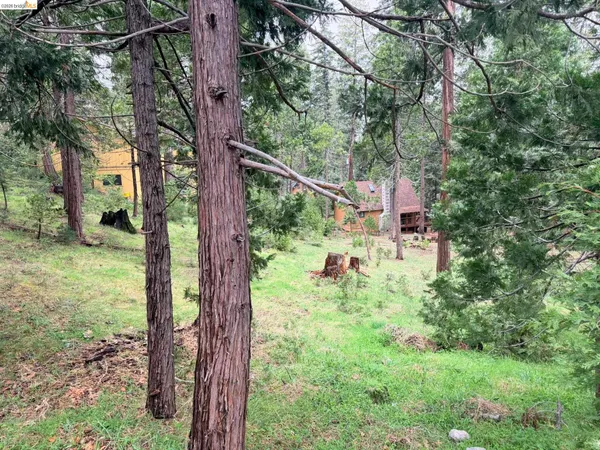$39,000 | 20681 Chief Fuller Way, Mi Wuk Village, CA 95346