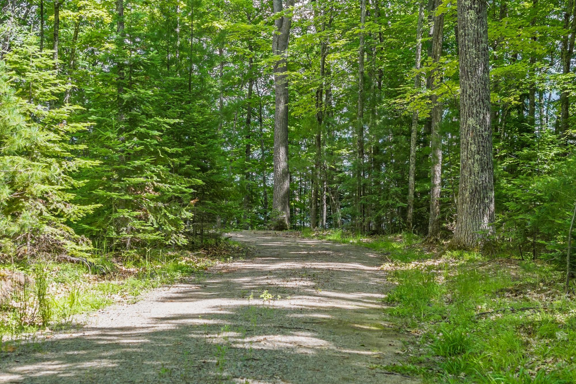 Off Twin Hill Road, Unit 2 Conover, WI 54519 - Photo 6 of 32