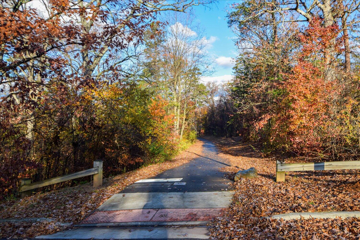 2271 Countryside Road Northwest Roanoke, VA 24017 - Photo 26 of 27 a view of a yard