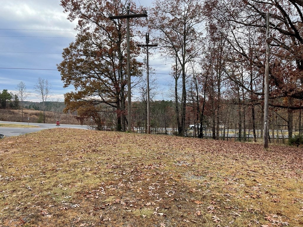 107 Carters Point Road Buffalo Junction, VA 24529 - Photo 23 of 25 Side yard