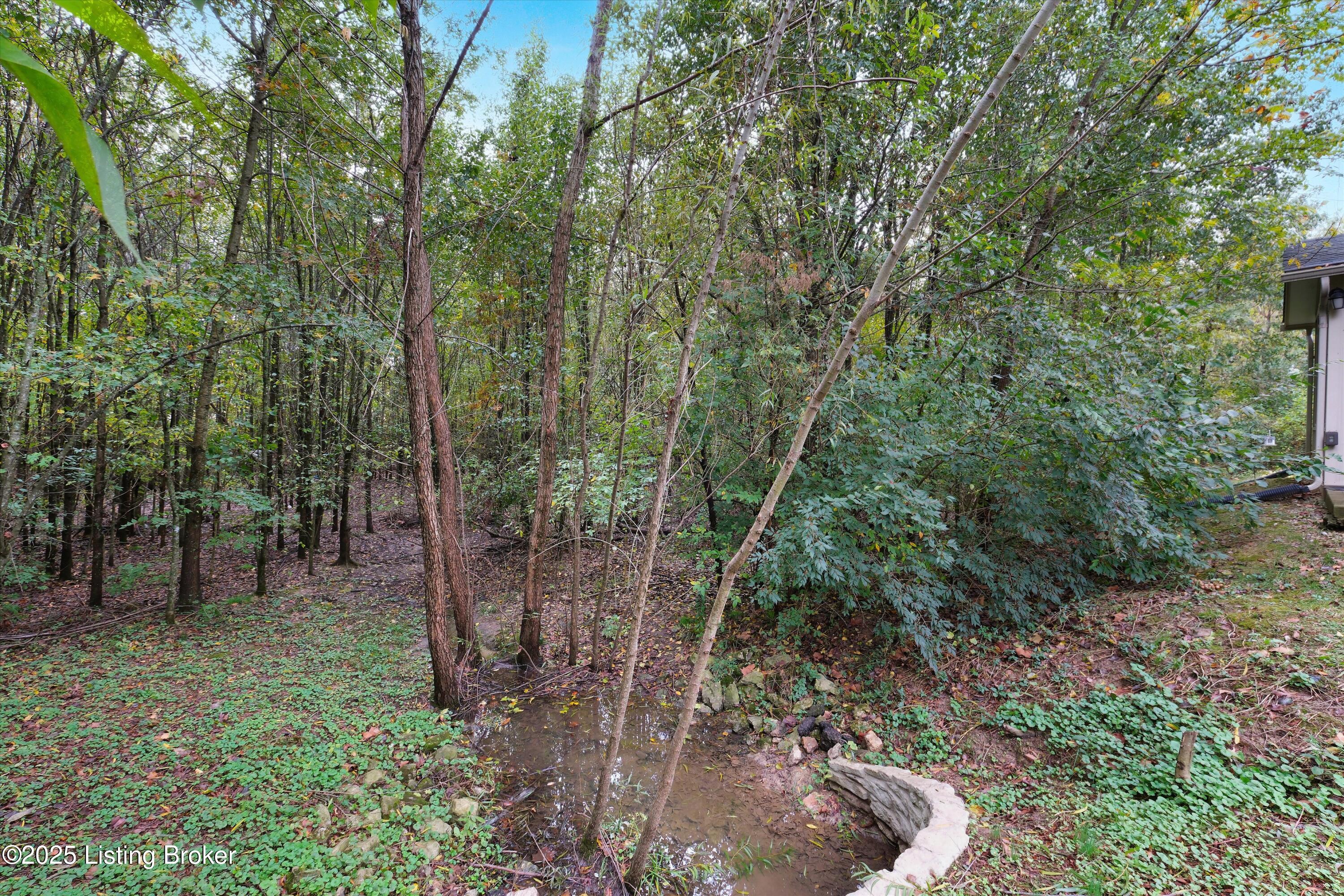 6704 Renate Road Louisville, KY 40291 - Photo 7 of 29 32-6704 Renate Rd