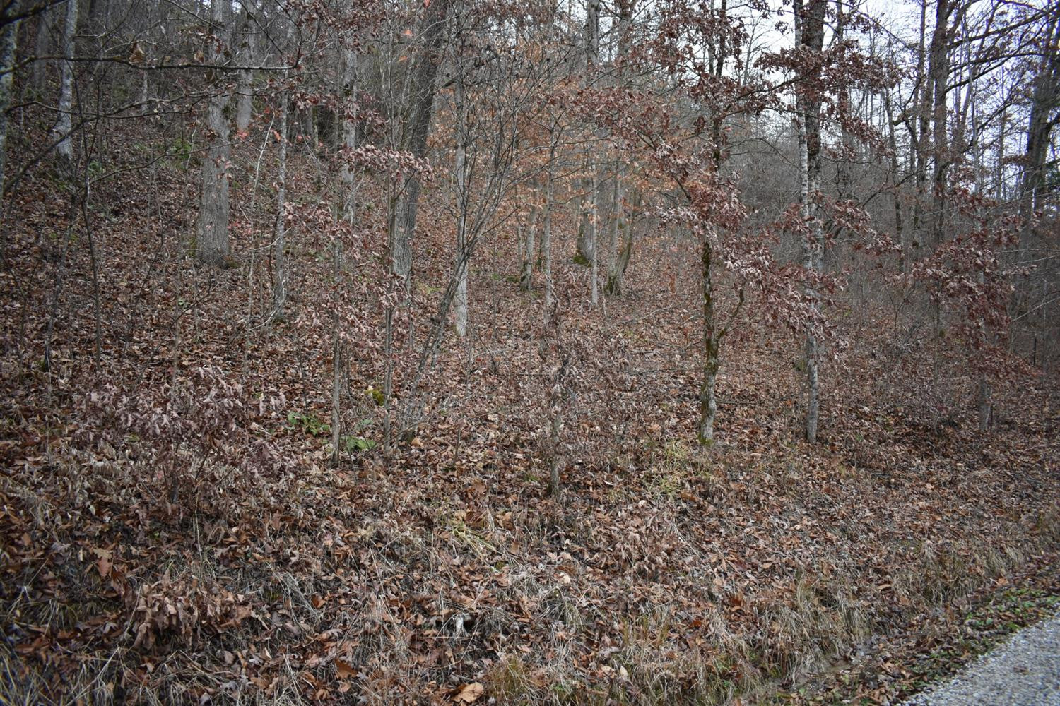 9999 East Crawfish Road Manchester, KY 40962 - Photo 52 of 52 Photo 52