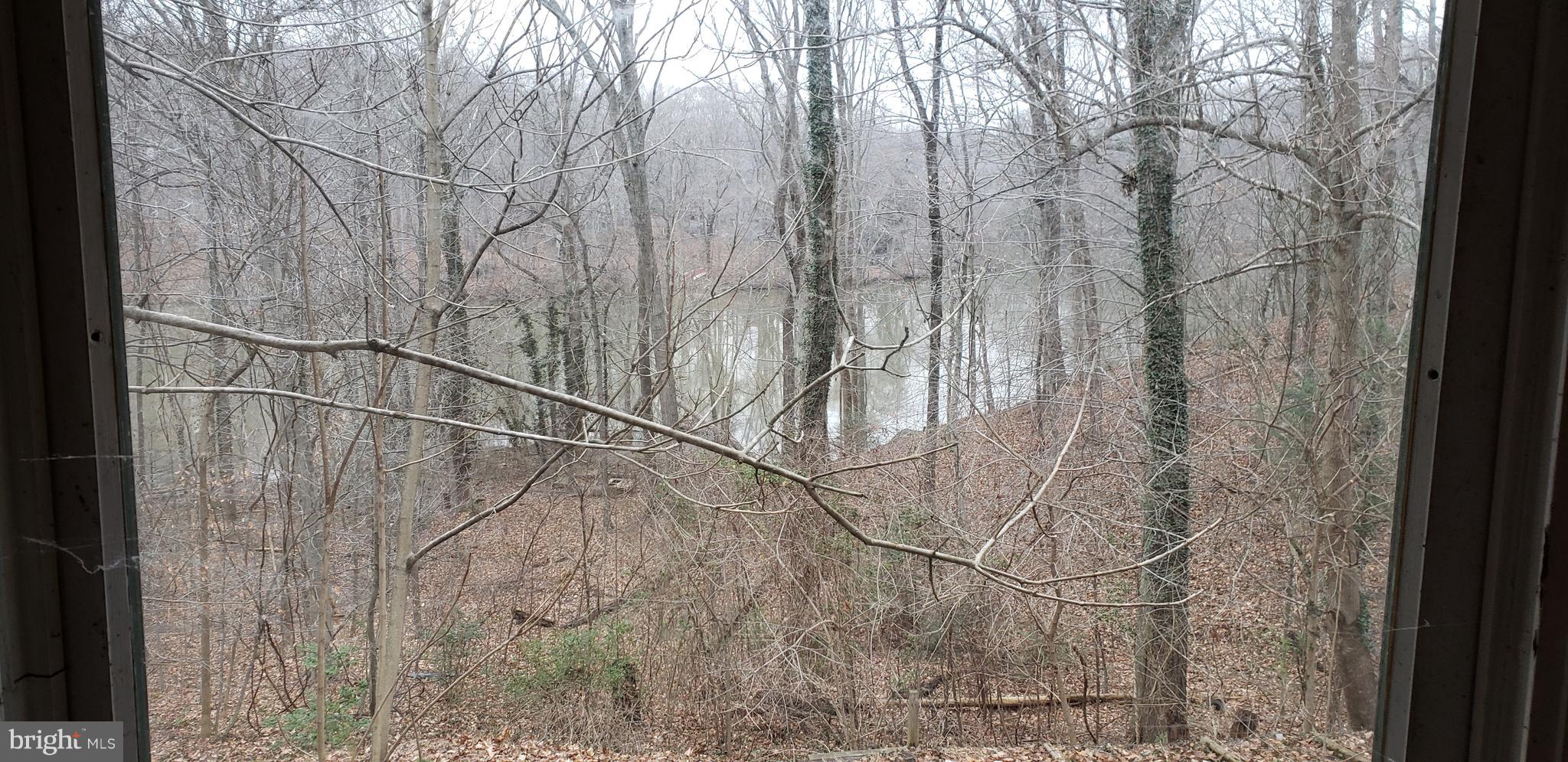 8570 Cobb Road Manassas, VA 20112 - Photo 27 of 46 View from rear window of water