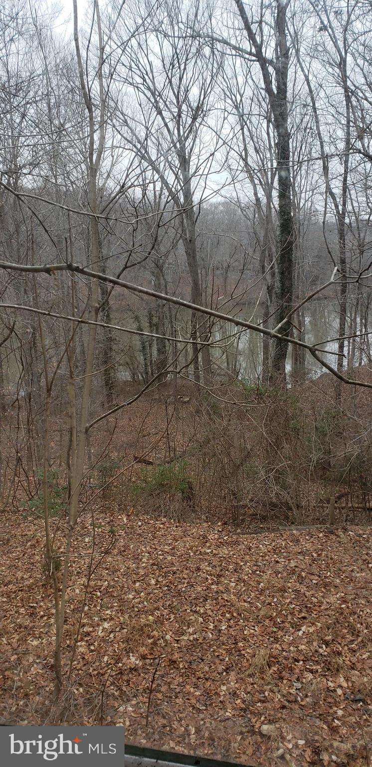 8570 Cobb Road Manassas, VA 20112 - Photo 28 of 46 More views of water from windows