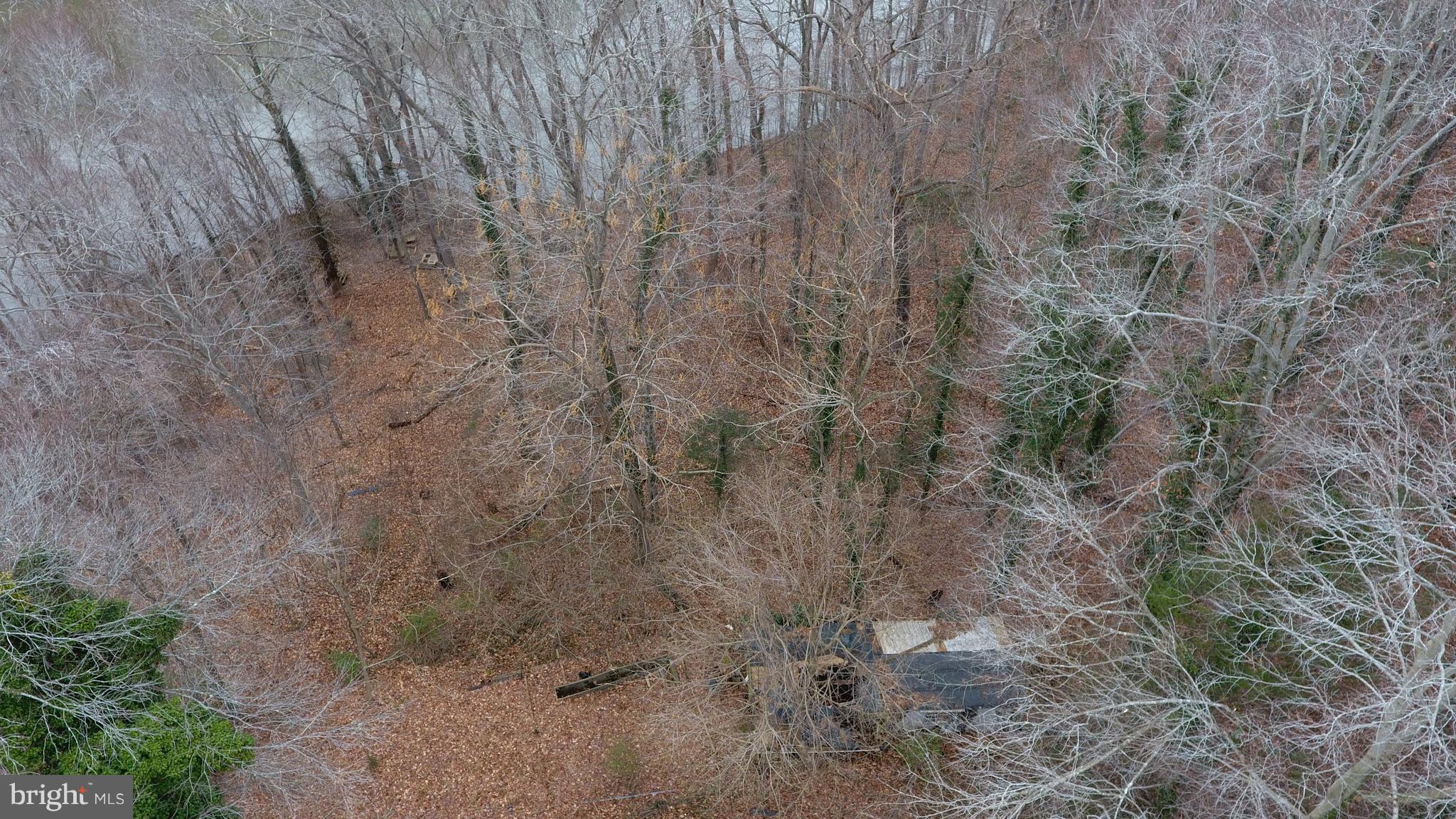 8570 Cobb Road Manassas, VA 20112 - Photo 39 of 46 Aerial view from above house down to water
