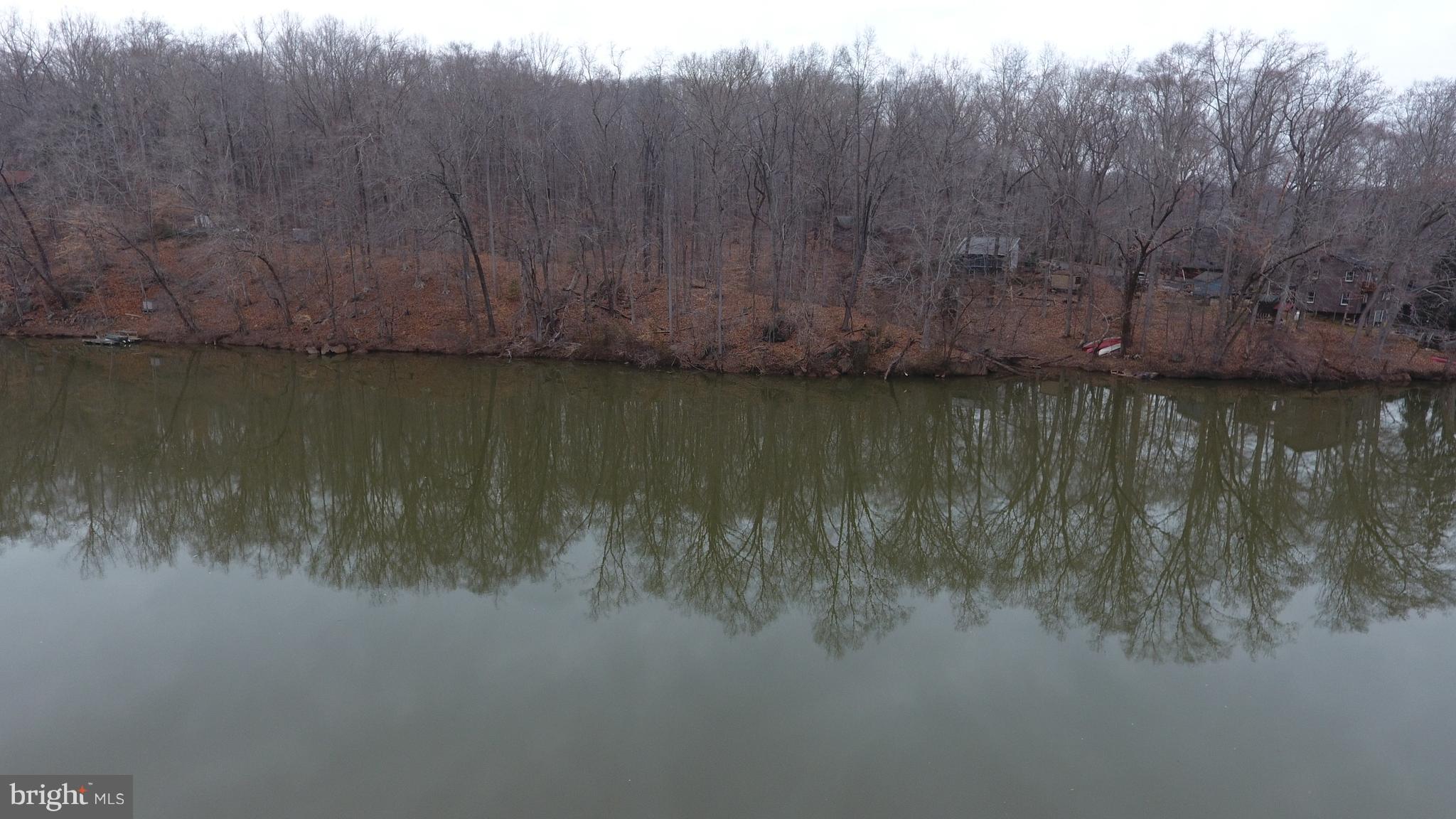 8570 Cobb Road Manassas, VA 20112 - Photo 42 of 46 View from across river looking back to property