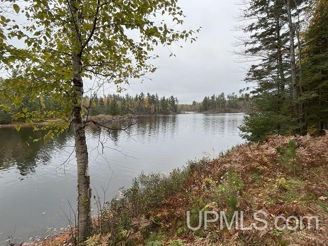 24380 Co Road Ishpeming, MI 49849 - Photo 53 of 92