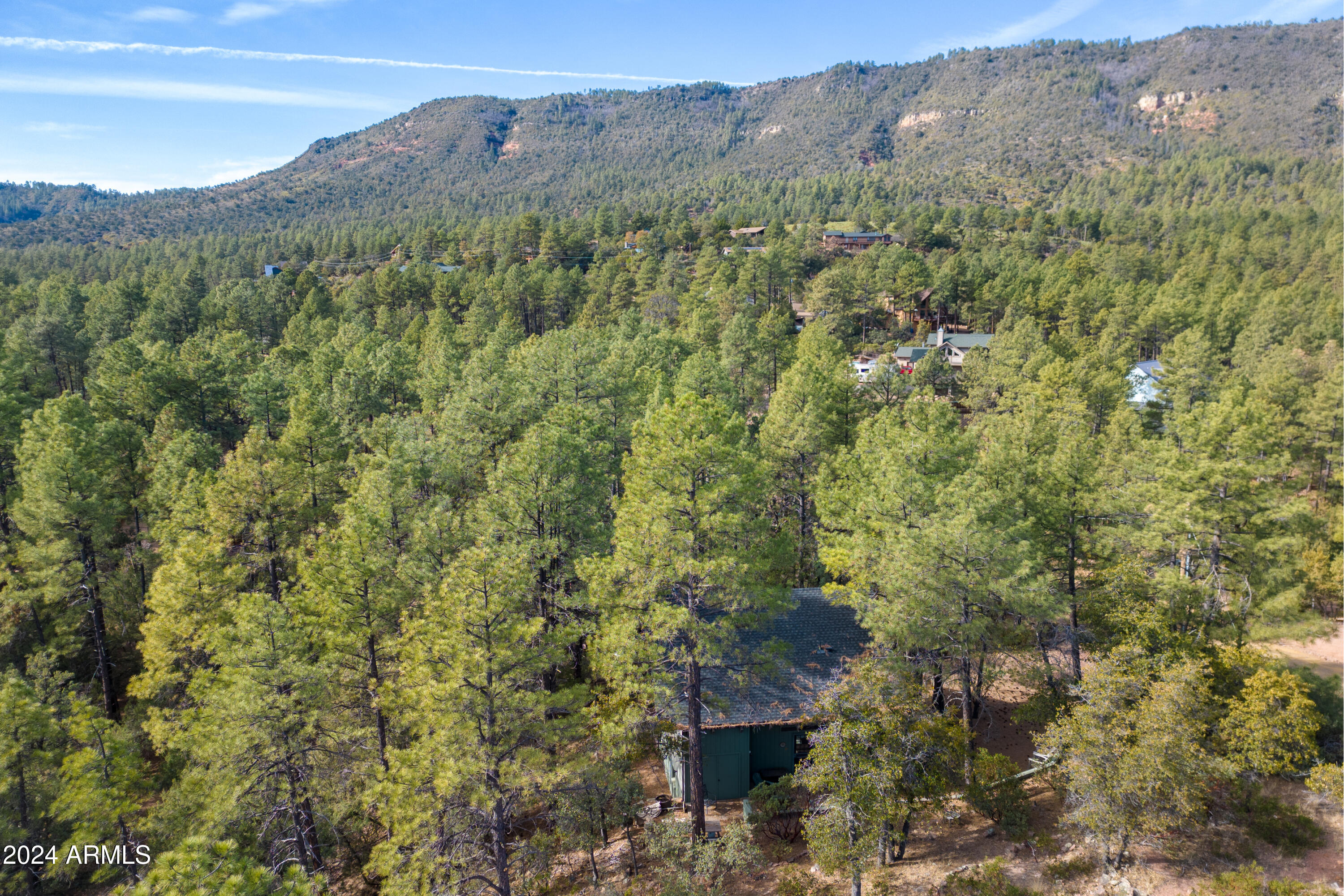 6713 Rick's Lane Pine, AZ 85544 - Photo 45 of 47 DJI_0036-HDR