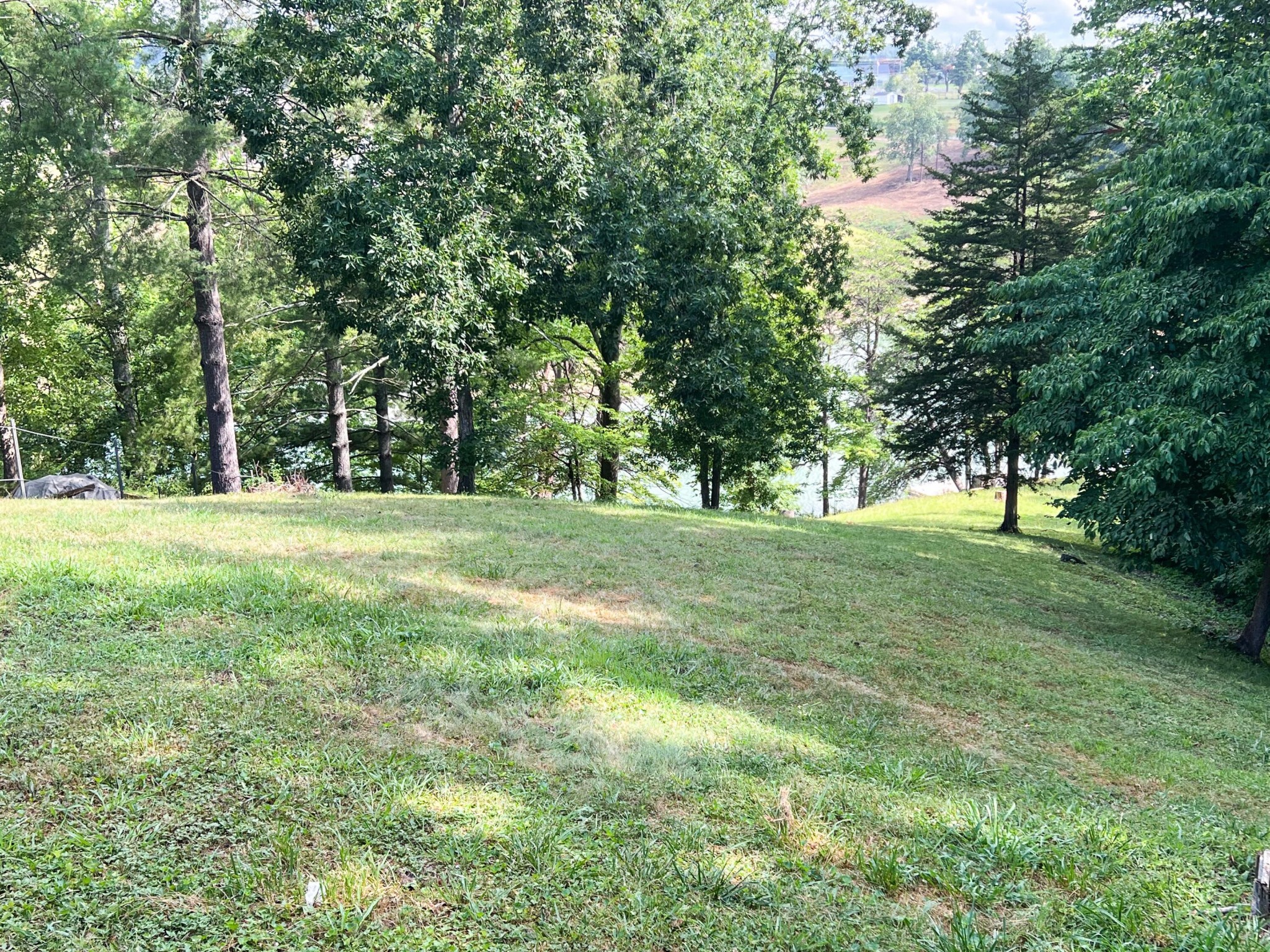 1809 Ridgecrest Drive Dandridge, TN 37725 - Photo 14 of 32 Gallery Image 14