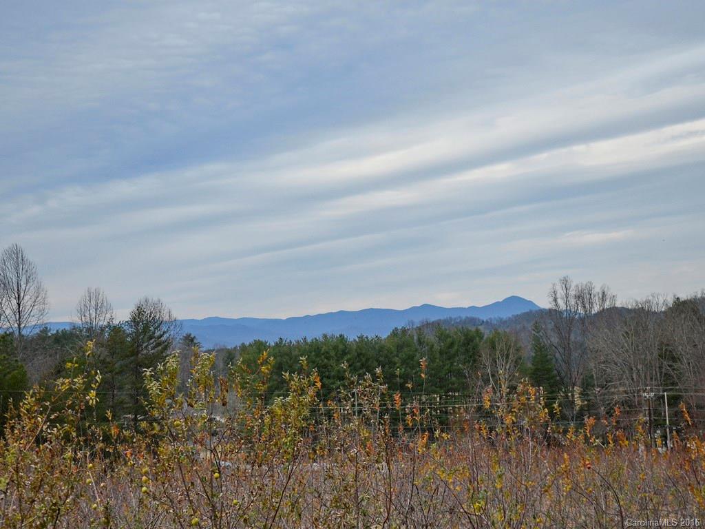 43 Cold Springs Road Hendersonville, NC 28792 - Photo 12 of 24 a view of a city