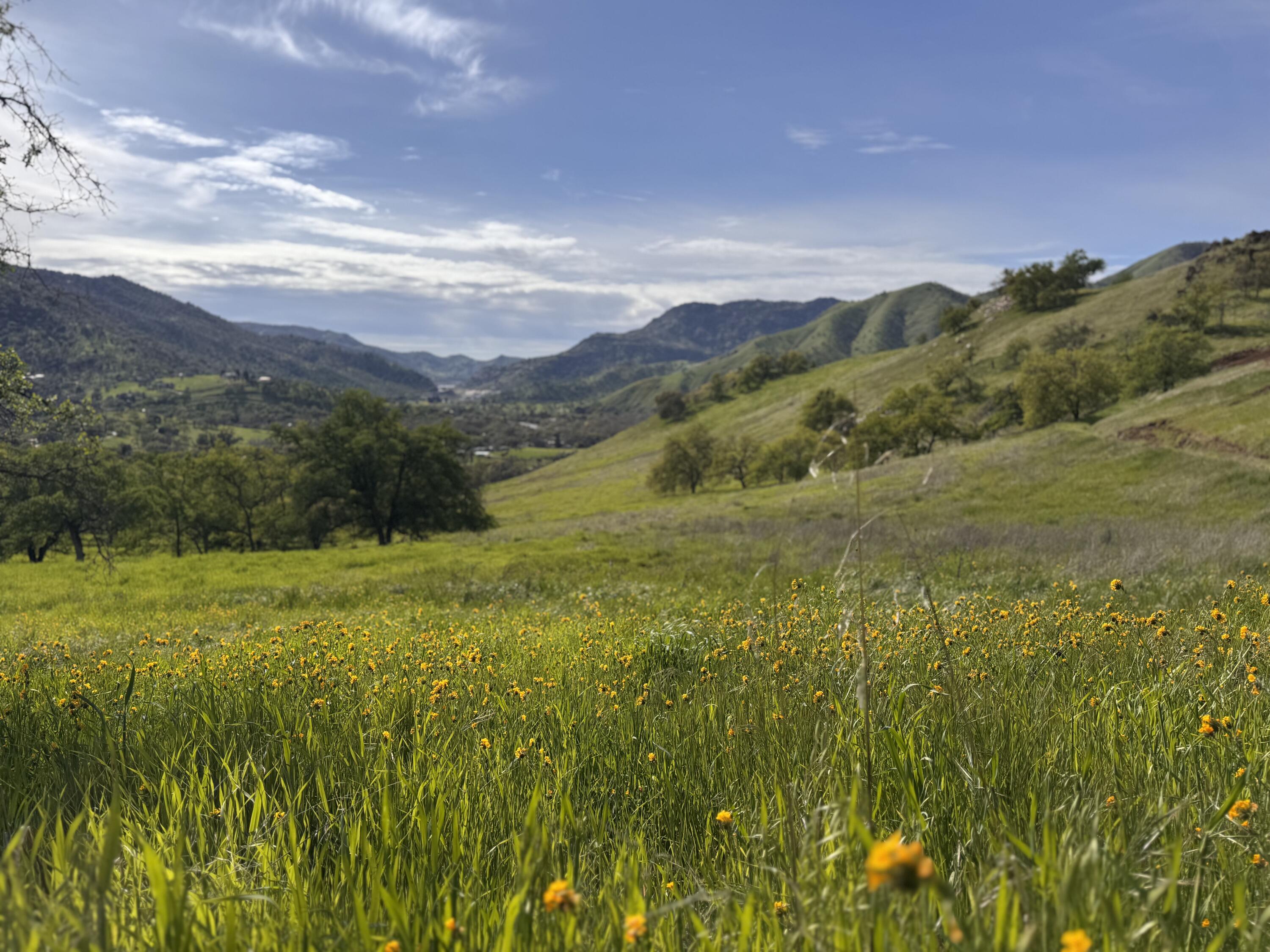 42065 Quail Run Drive Three Rivers, CA 93271 - Photo 5 of 29 IMG_7805