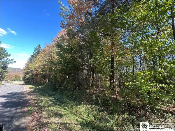 $64,900 | Prill Road, West Valley, NY 14171