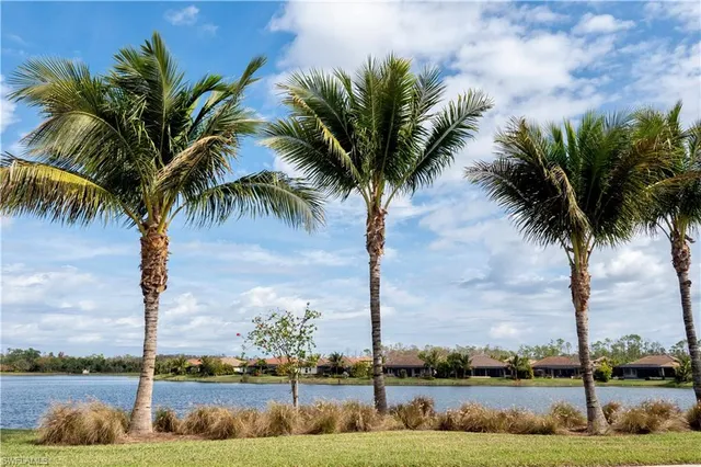 a view of lake with palm trees
