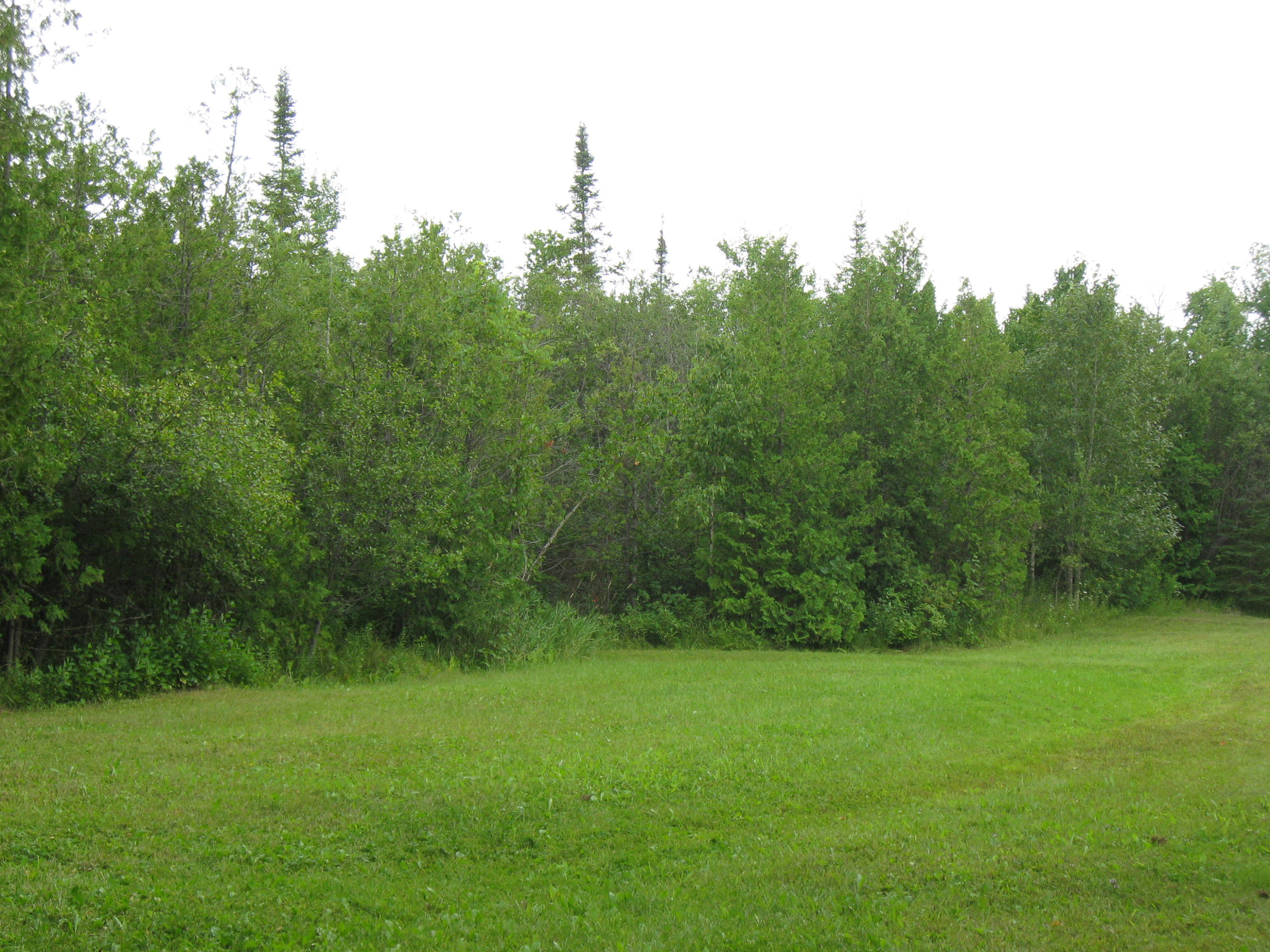 2739 Bloom Road Alpena, MI 49707 - Photo 16 of 18 Gallery Image 16