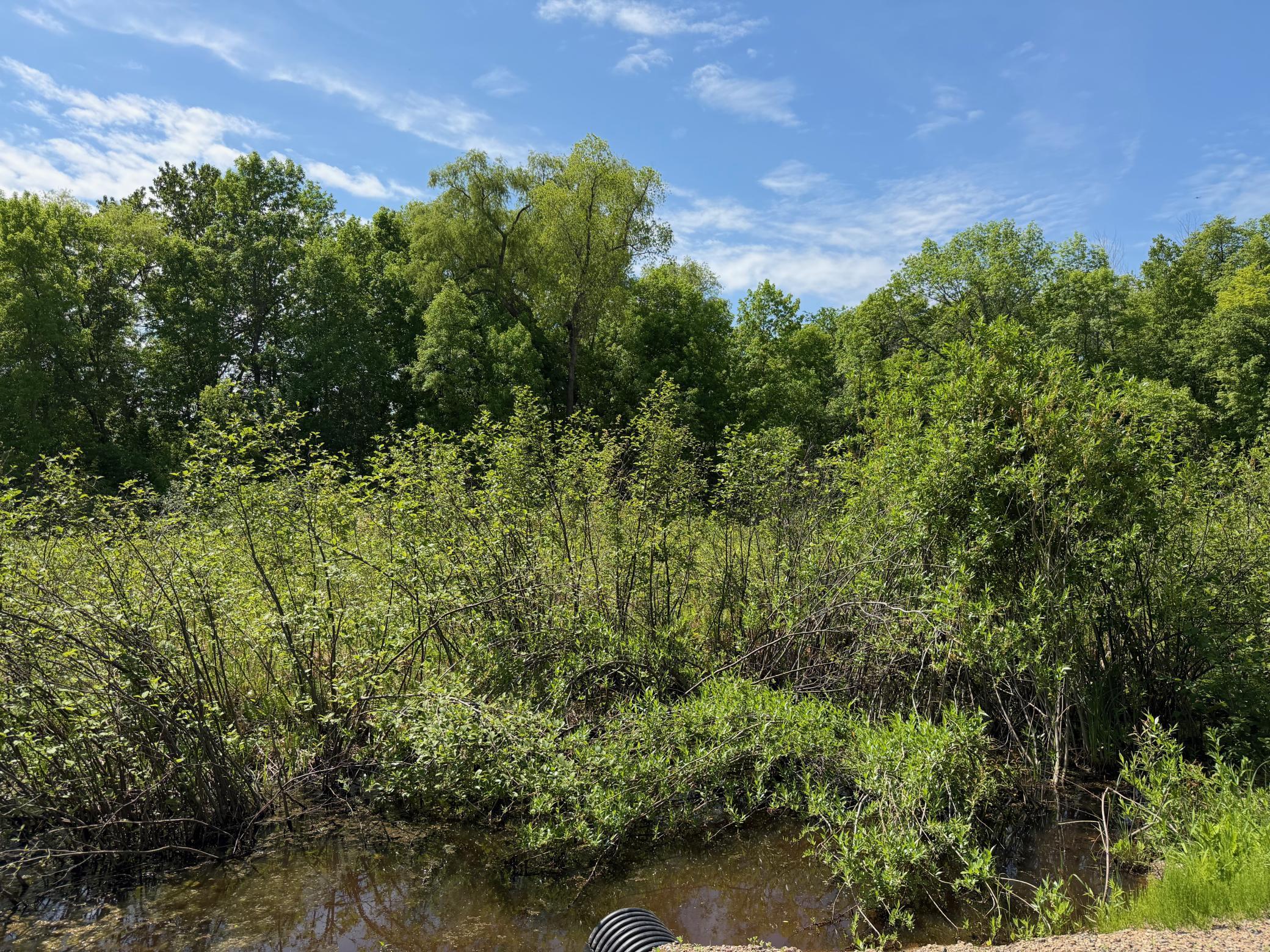 Tbd White Fish Road Garrison, MN 56450 - Photo 9 of 11