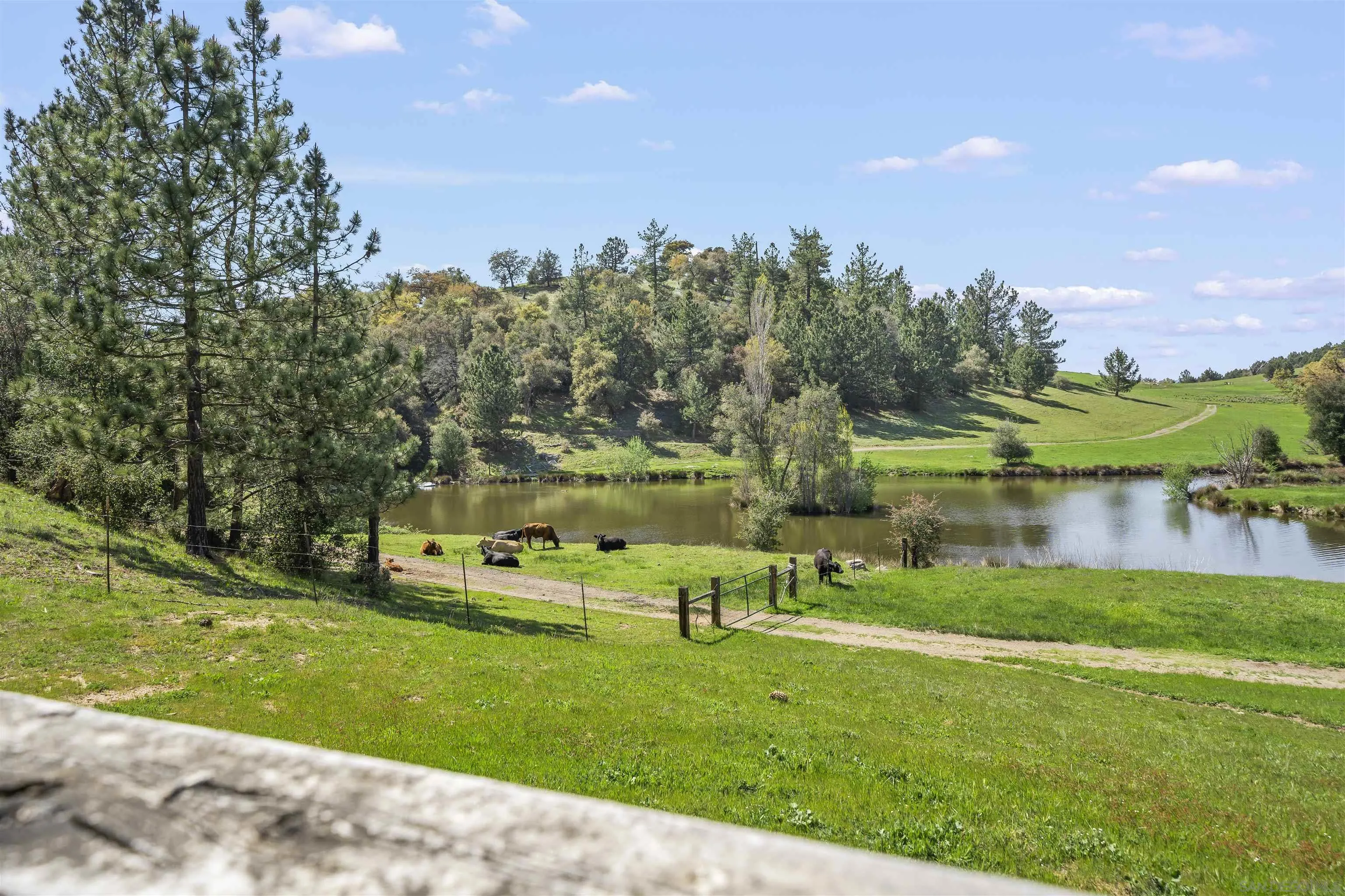 2464 Wynola Road Julian, CA 92036 - Photo 49 of 50 a view of a lake with houses