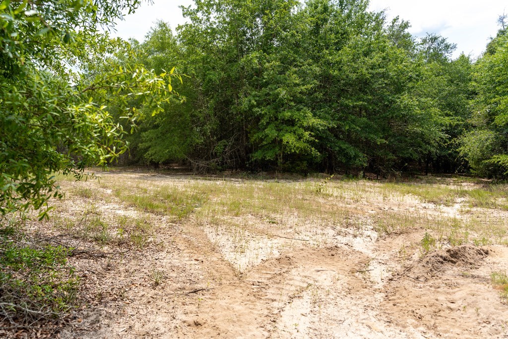 3 Comers Pond Road Pittsview, AL 36871 - Photo 17 of 51