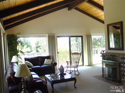 1510 Schaeffer Road Sebastopol, CA 95472 - Photo 4 of 12 a living room with furniture and a fireplace