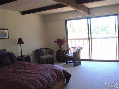 1510 Schaeffer Road Sebastopol, CA 95472 - Photo 6 of 12 a bedroom with bed couch and window