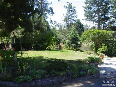 1510 Schaeffer Road Sebastopol, CA 95472 - Photo 8 of 12 a view of a park