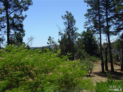 1510 Schaeffer Road Sebastopol, CA 95472 - Photo 9 of 12 a view of a park with a tree