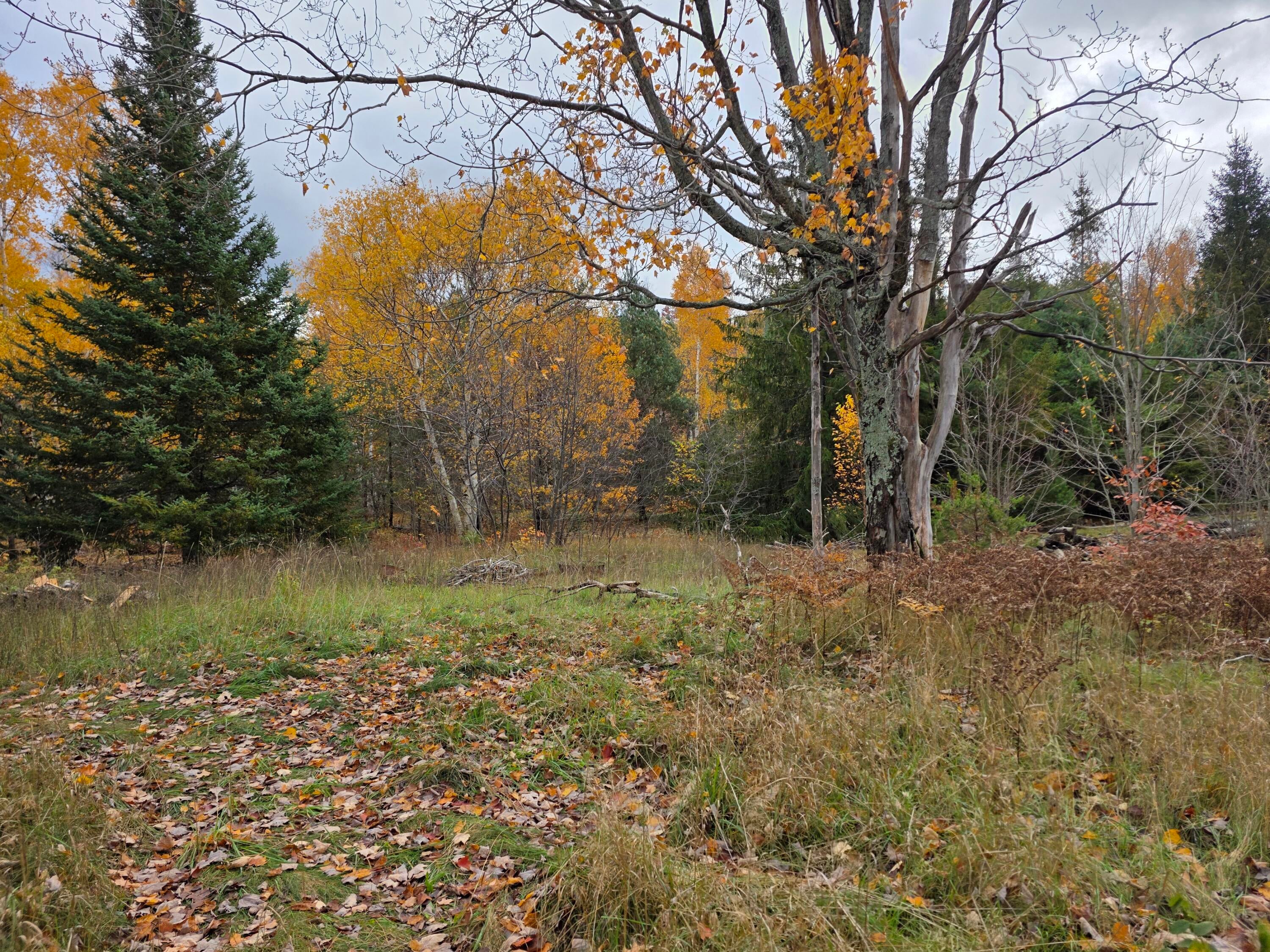 4825 South Ranger Road Brimley, MI 49715 - Photo 7 of 14 Gallery Image 7
