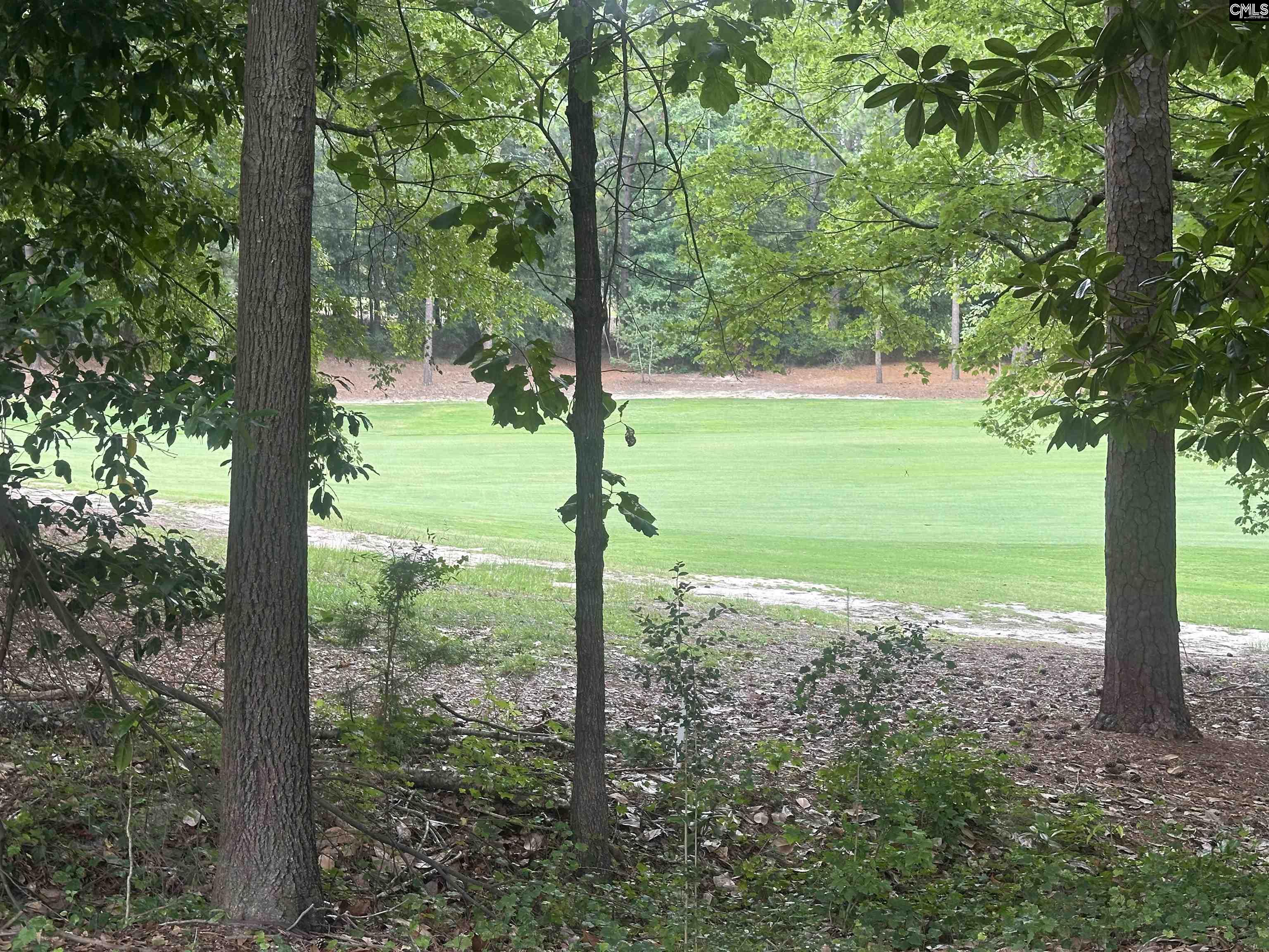 8 Pinetop Road Camden, SC 29020 - Photo 7 of 17