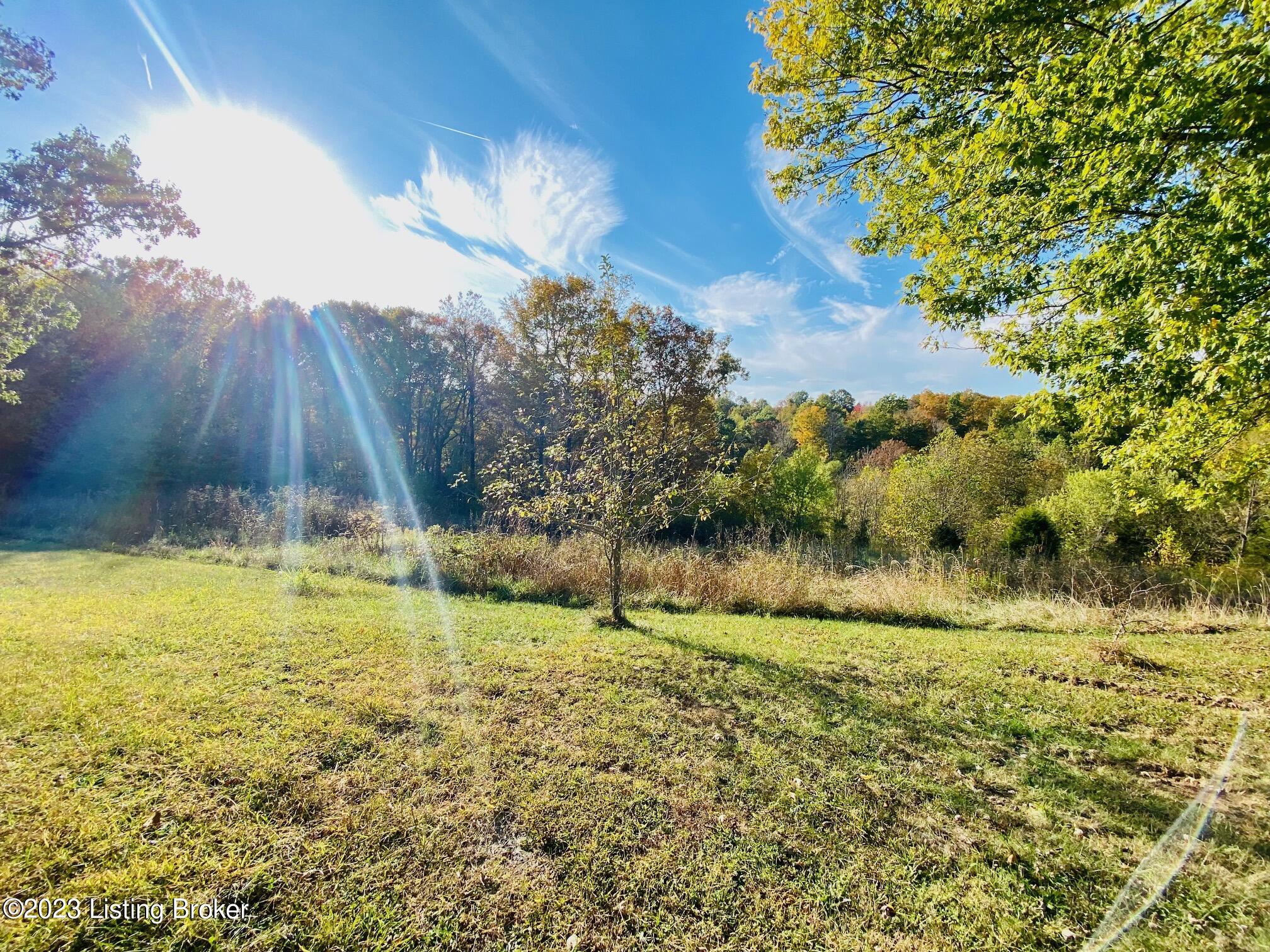 1219 Polin-Hardesty-Litsey Road Springfield, KY 40069 - Photo 8 of 17 IMG_6567