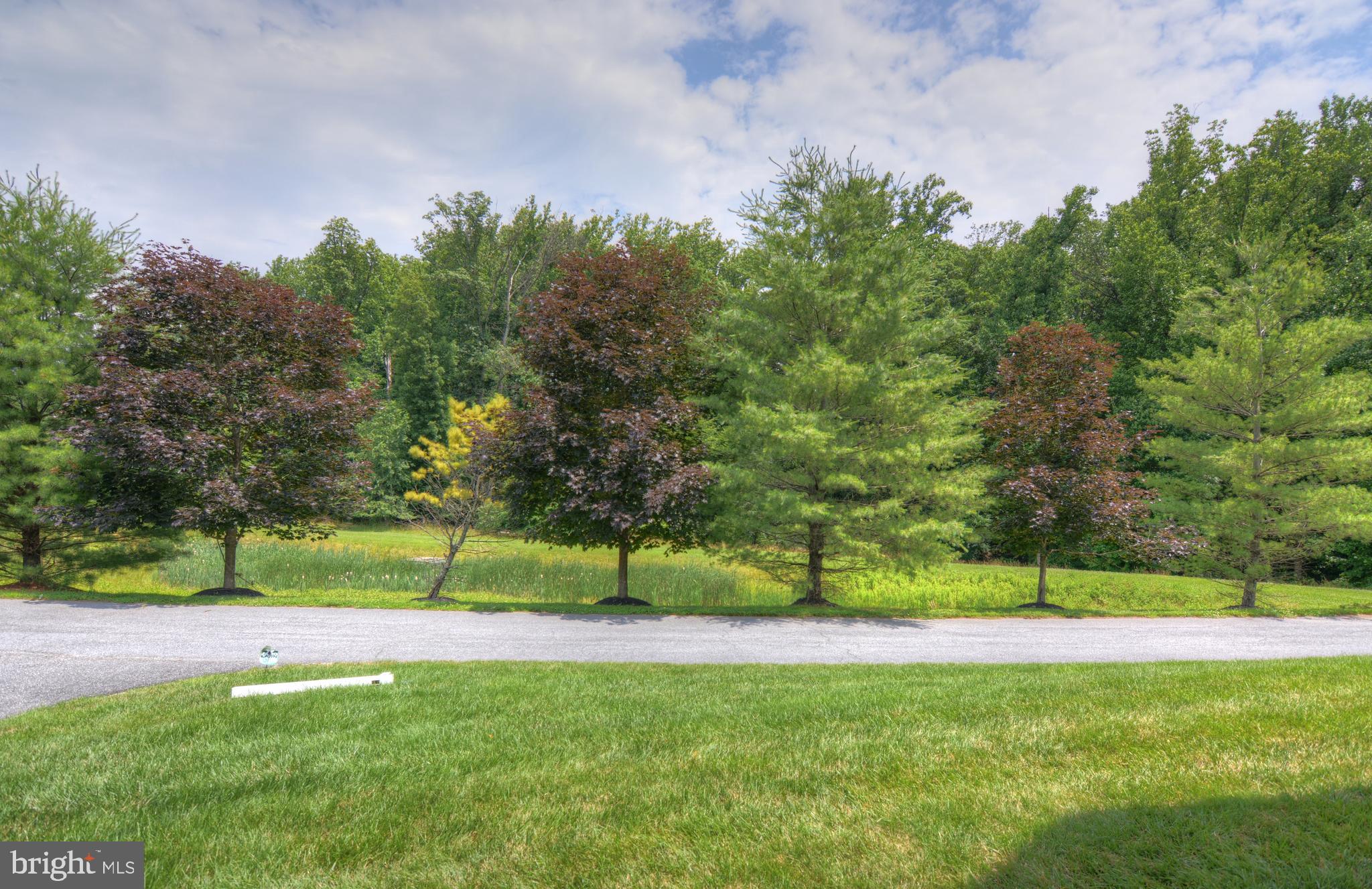 8412 Roberts Road Ellicott City, MD 21043 - Photo 43 of 52 Gallery Image 43