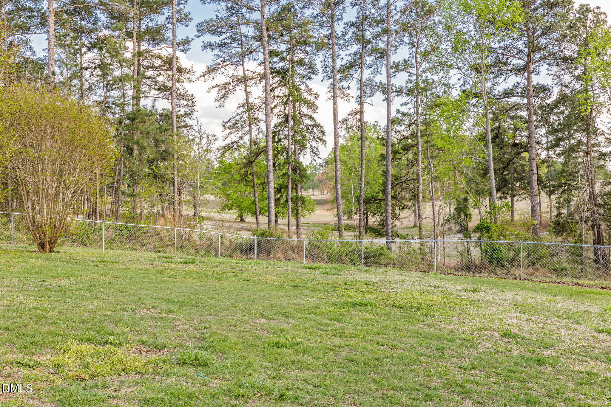 2732 Nutbush Road Henderson, NC 27537 - Photo 27 of 37 Fenced Backyard