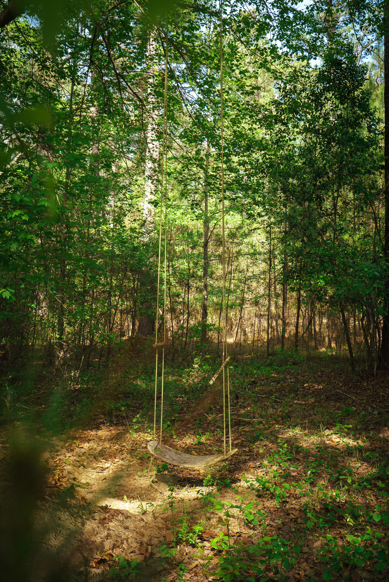 Lot 3 Banks Mill Road Southeast Aiken, SC 29803 - Photo 11 of 42