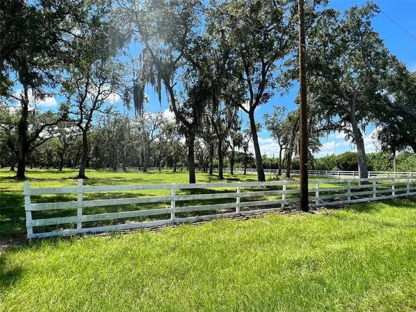a view of park with plants