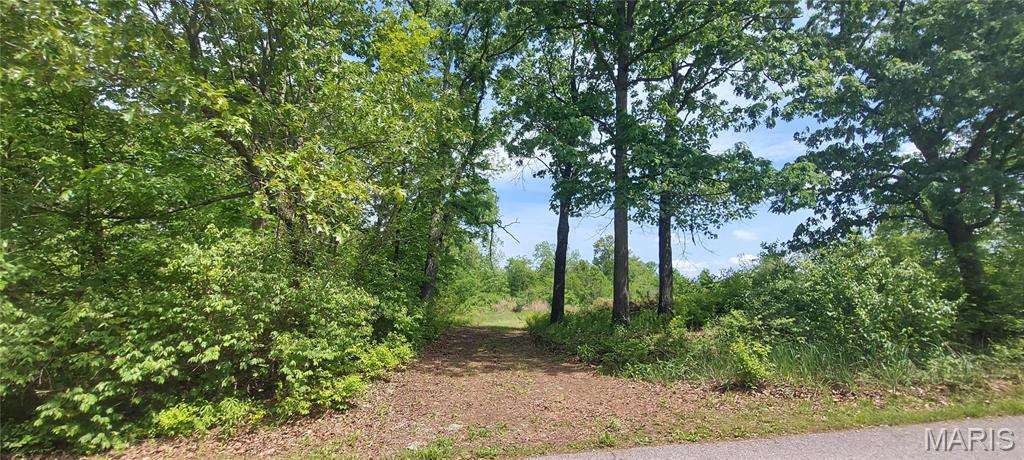 2827 Oberhelman Road Foristell, MO 63348 - Photo 1 of 11