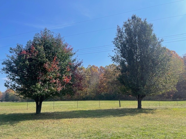 353 Grinder Creek Road Hohenwald, TN 38462 - Photo 4 of 26