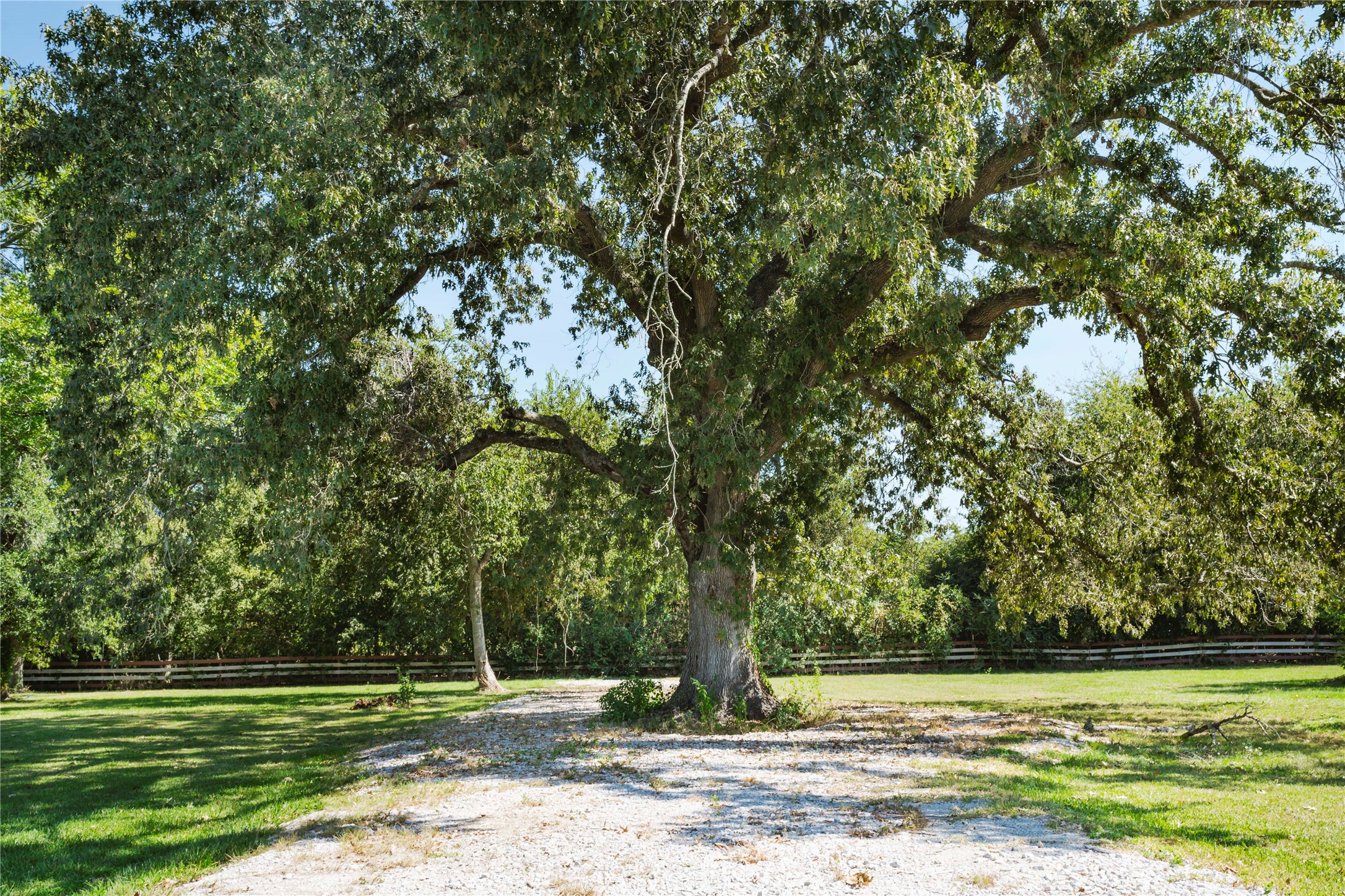 6830 Miller Wilson Road Crosby, TX 77532 - Photo 36 of 48