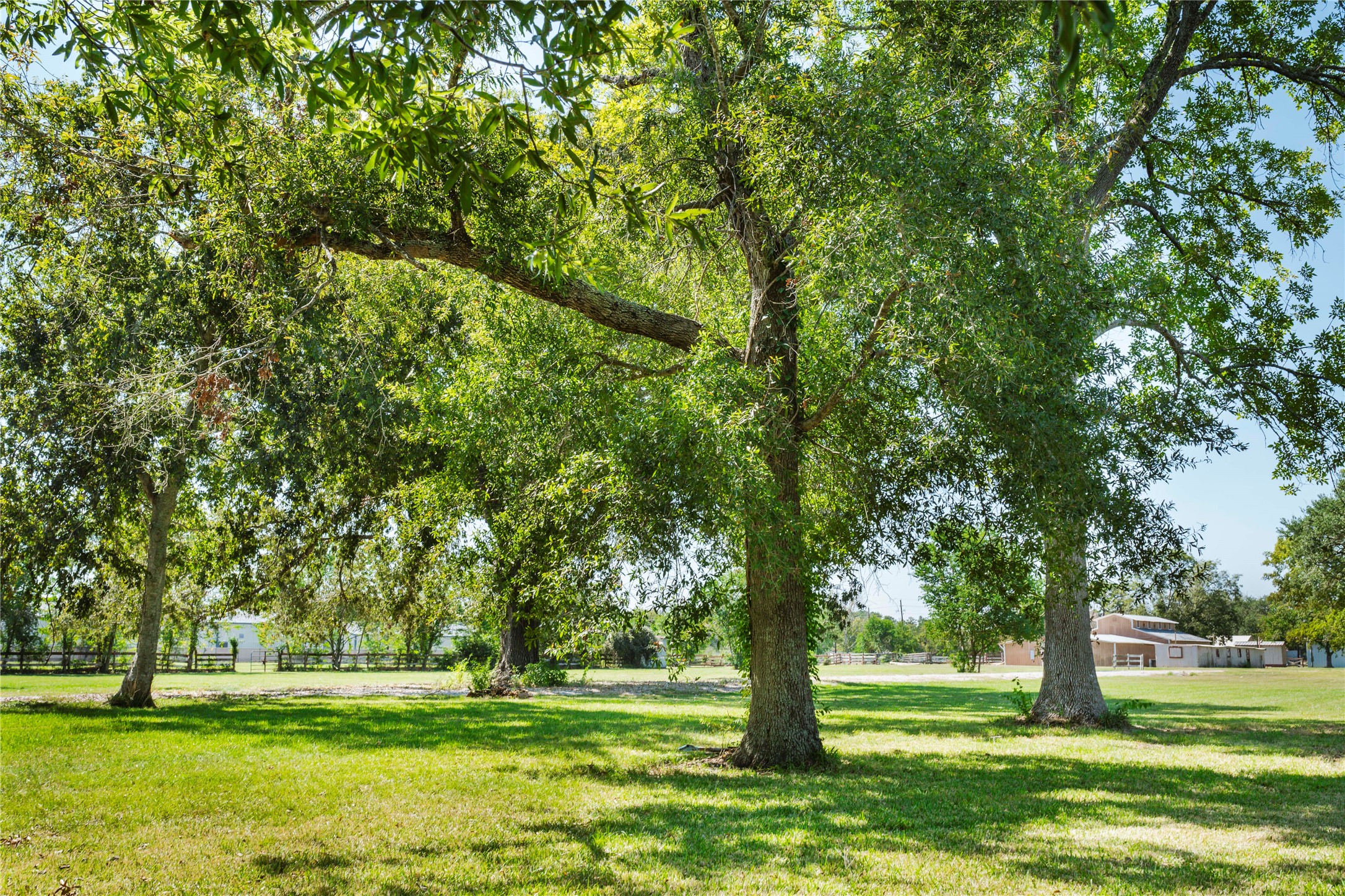 6830 Miller Wilson Road Crosby, TX 77532 - Photo 37 of 48