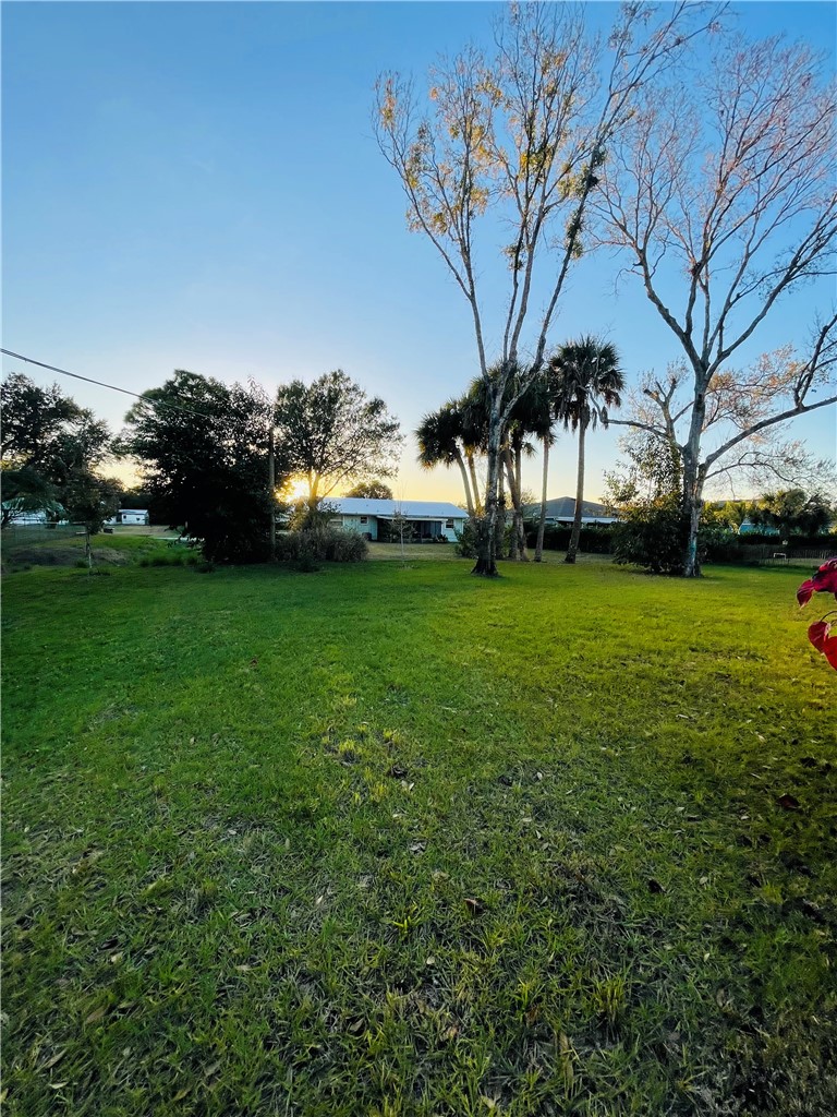 1281 Barber Street Sebastian, FL 32958 - Photo 20 of 26 a view of a trees in front of a building