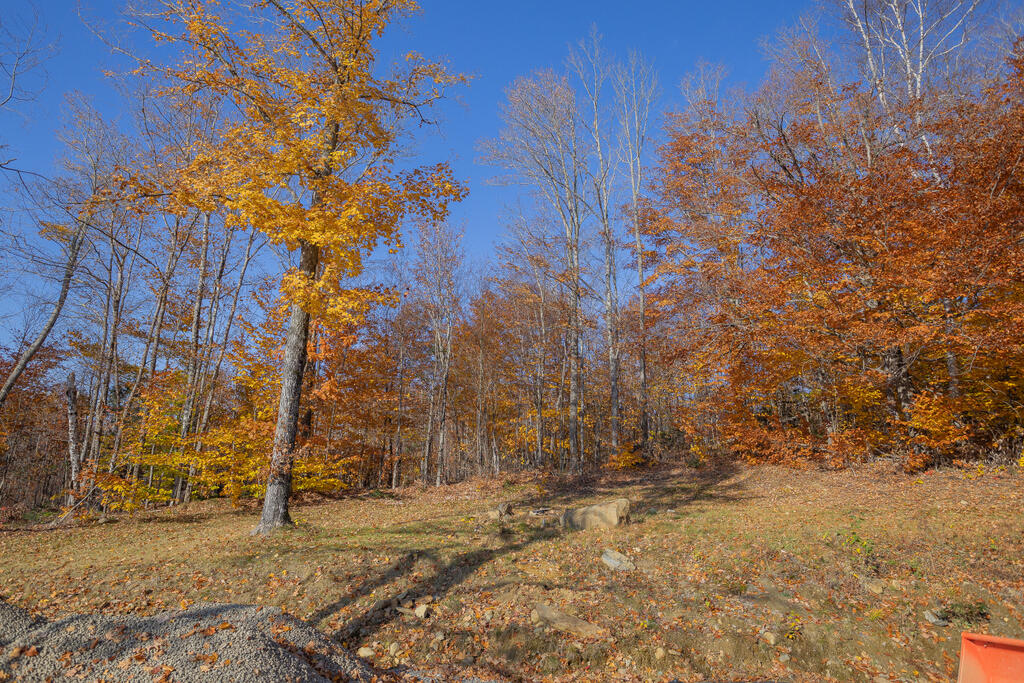 274 R Reed's Mill Road Madrid Township, ME 04966 - Photo 32 of 41 sandy-river-realty-38
