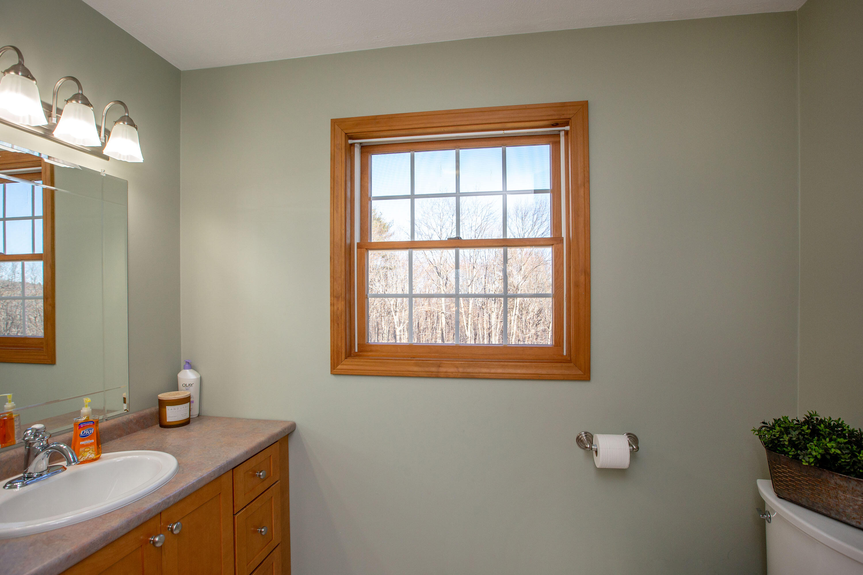 673 Brighton Hill Road Minot, ME 04258 - Photo 43 of 93 Brighton_MLS Letourneau_45