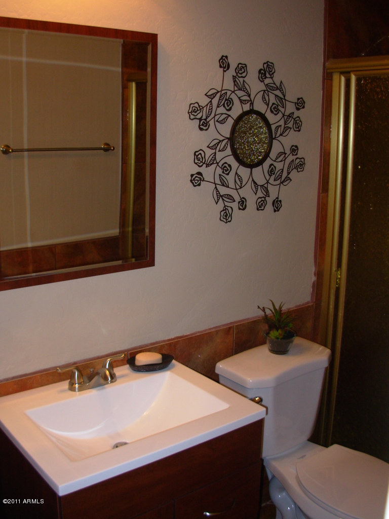 2436 East Darrel Road Phoenix, AZ 85042 - Photo 13 of 22 second bath
