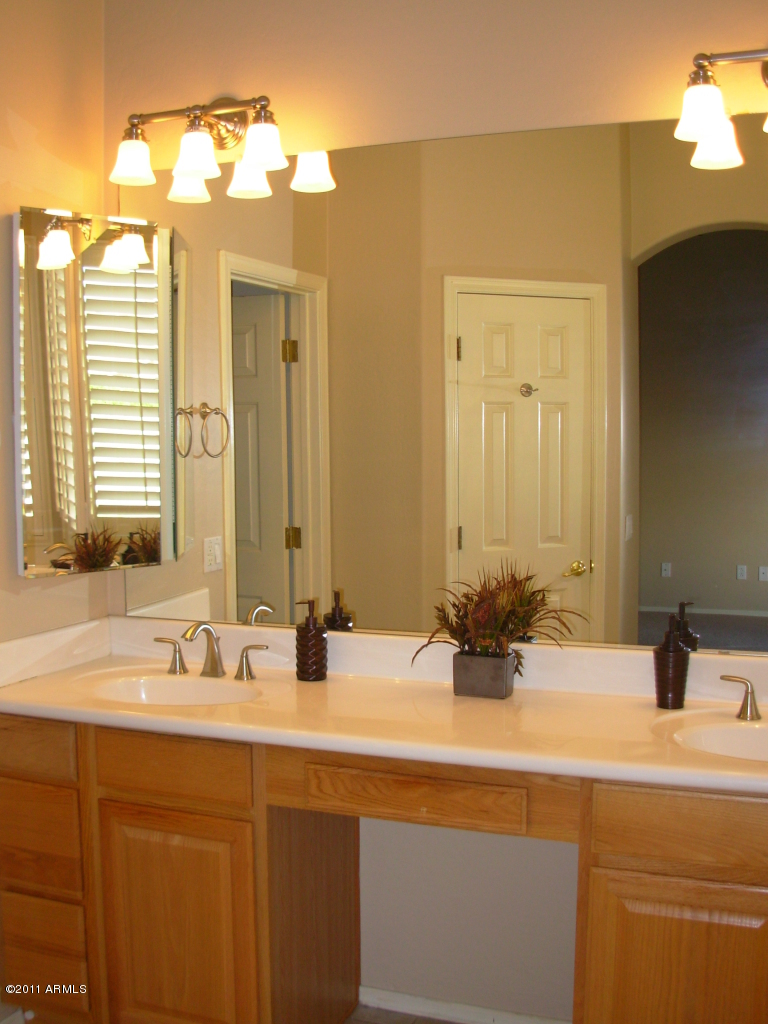 2436 East Darrel Road Phoenix, AZ 85042 - Photo 15 of 22 master bath
