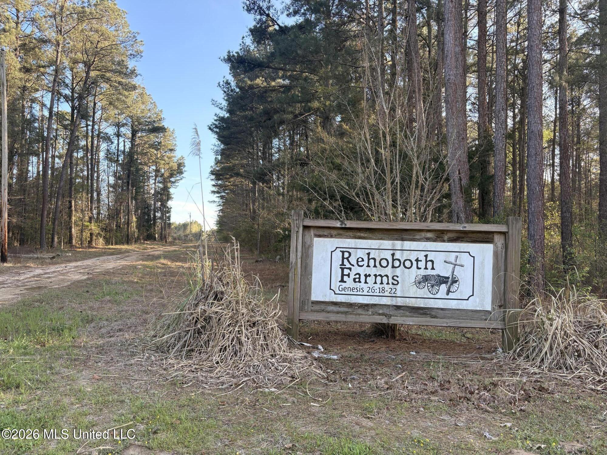 337 J C Prestage Road Pelahatchie, MS 39145 - Photo 5 of 15 IMG_7808 (1)