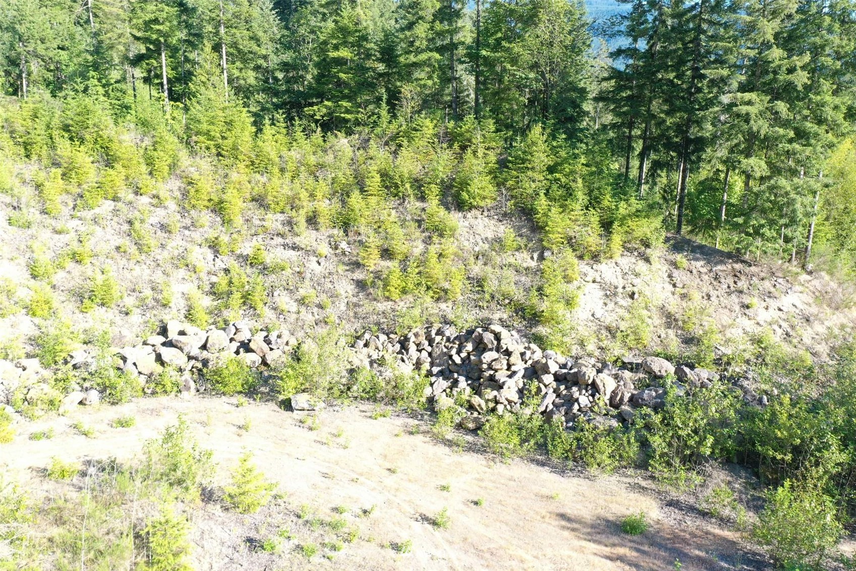 0 Silverbrook Road Randle, WA 98377 - Photo 14 of 36 Gallery Image 14
