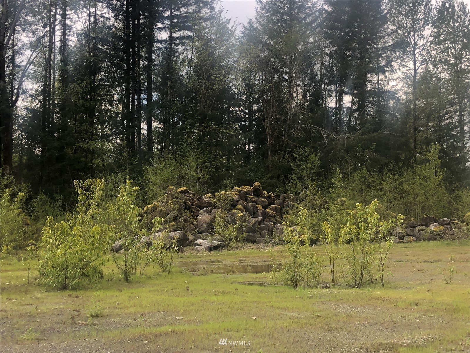 0 Silverbrook Road Randle, WA 98377 - Photo 16 of 36 Gallery Image 16