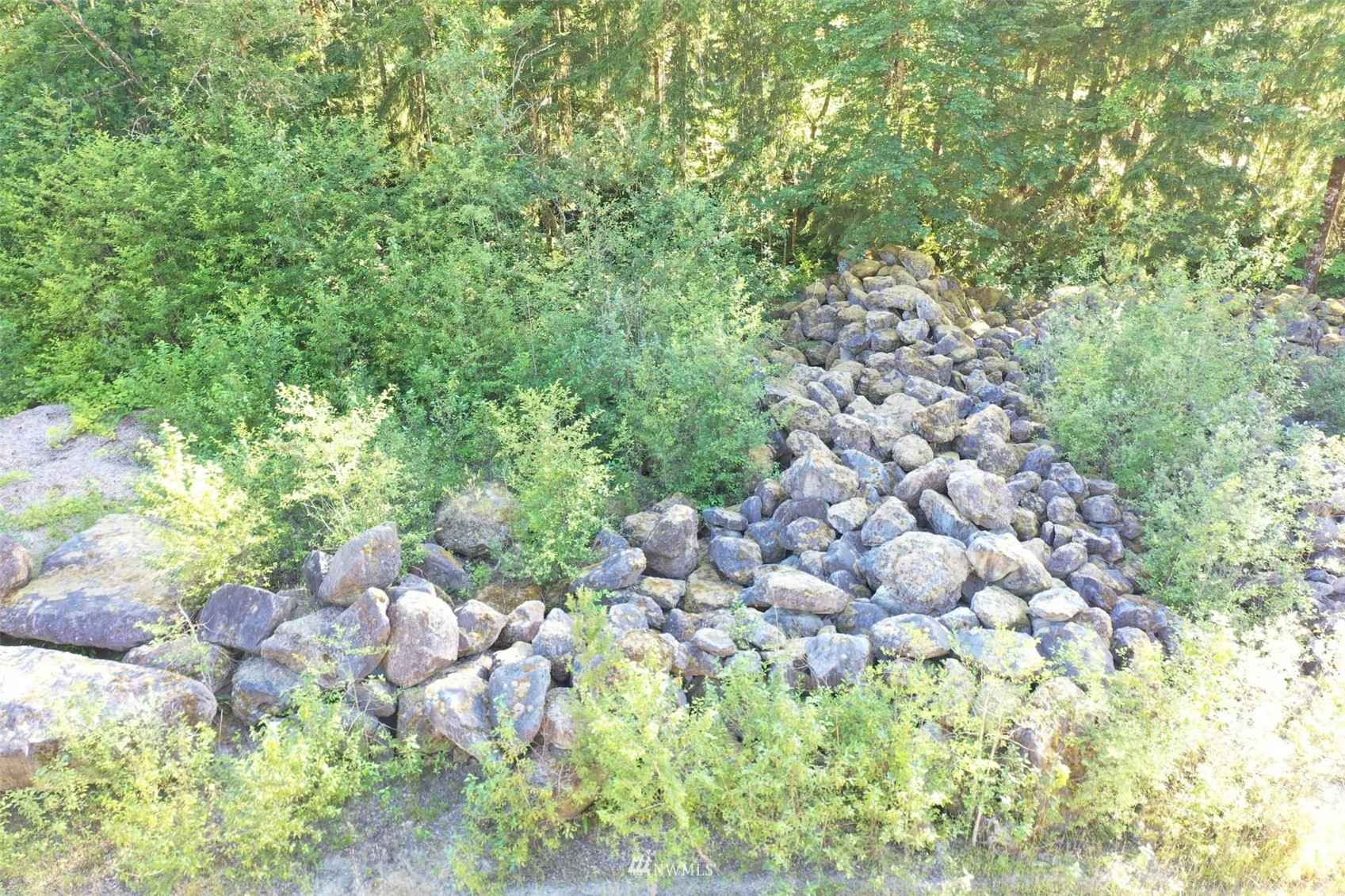 0 Silverbrook Road Randle, WA 98377 - Photo 23 of 36 Gallery Image 23