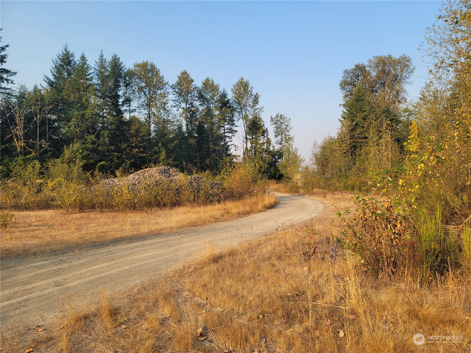 0 Silverbrook Road Randle, WA 98377 - Photo 31 of 36 Gallery Image 31